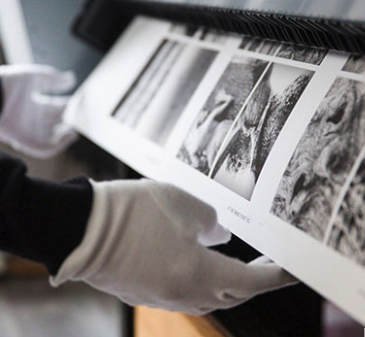 Limitowana i kolekcjonerska edycja FineArtPrints